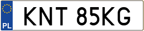 Trailer License Plate